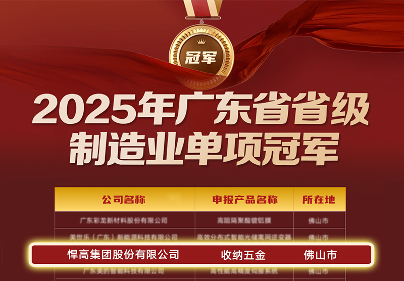 喜讯 | 天生赢家凯发一触即发荣膺广东省制造业单项冠军